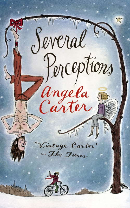 Book cover of Several Perceptions (Virago Modern Classics #75)
