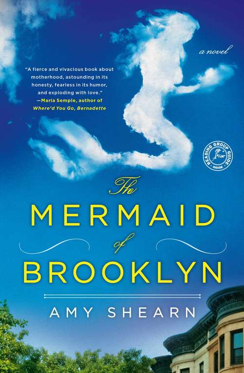 Book cover of The Mermaid of Brooklyn