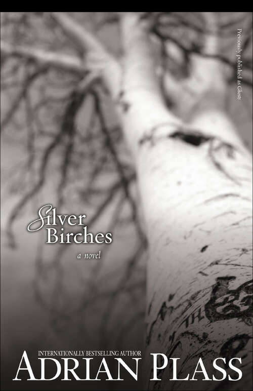 Book cover of Silver Birches: A Novel