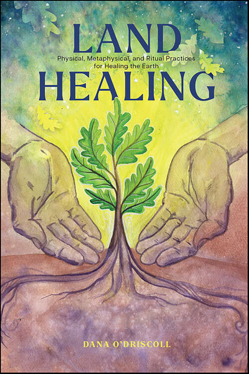 Book cover of Land Healing: Physical, Metaphysical, and Ritual Practices for Healing the Earth