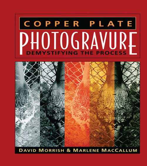 Book cover of Copper Plate Photogravure: Demystifying the Process (Alternative Process Photography Ser.)