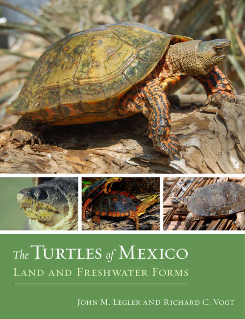 Book cover of Turtles of Mexico