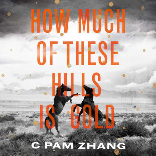 Book cover of How Much of These Hills is Gold: ‘A tale of two sisters during the gold rush … beautifully written’ The i, Best Books of the Year