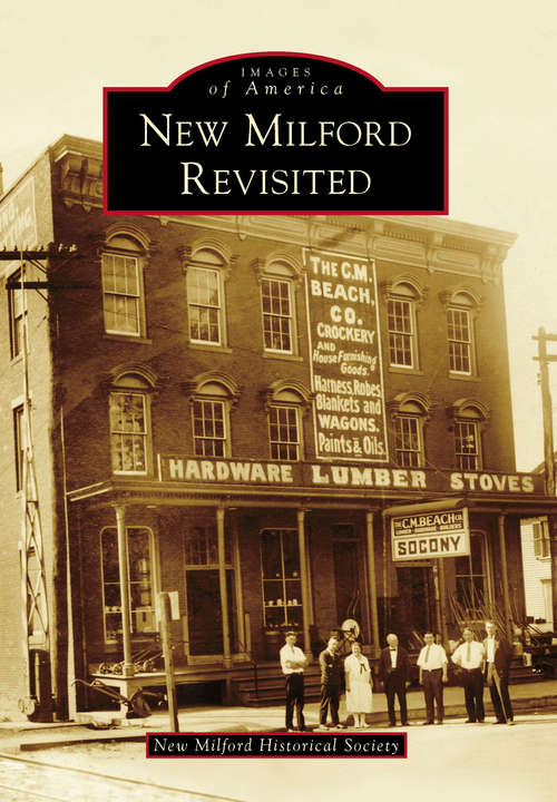 Book cover of New Milford Revisited