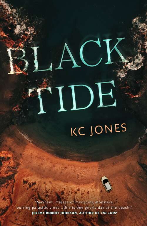 Book cover of Black Tide