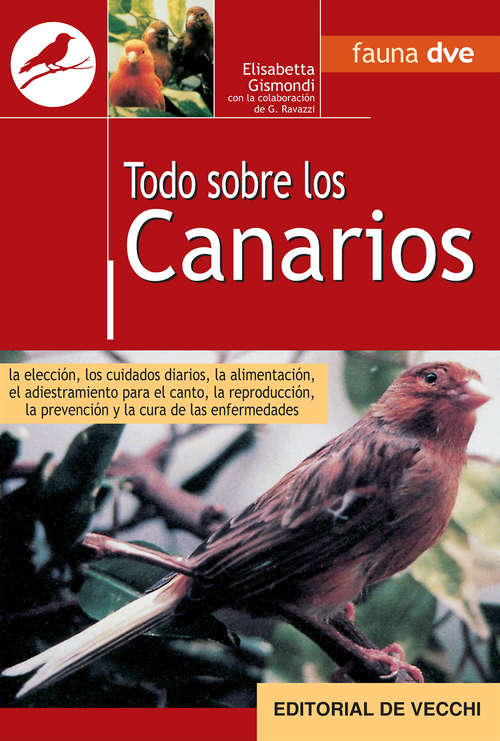 Book cover of Todo sobre canarios