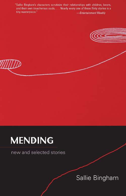 Book cover of Mending