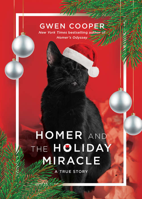 Book cover of Homer and the Holiday Miracle: A True Story