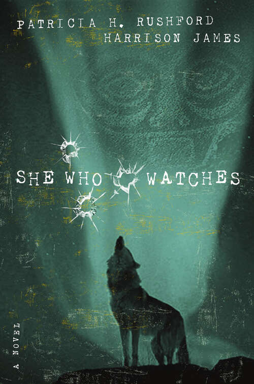 Book cover of She Who Watches: A Novel (The\mcallister Files Ser. #4)