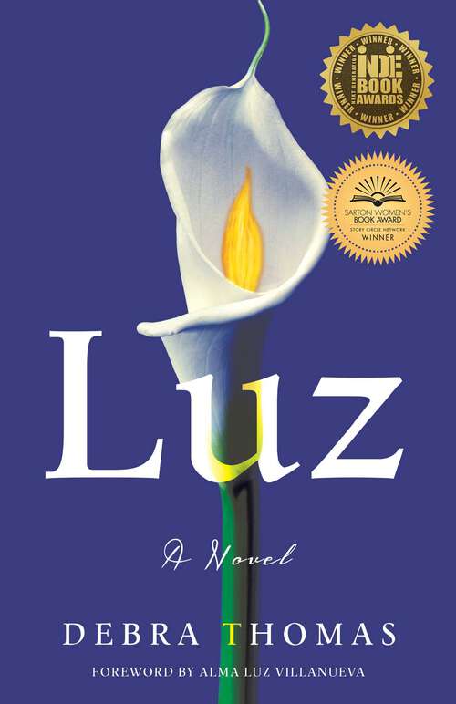 Book cover of Luz: A Novel