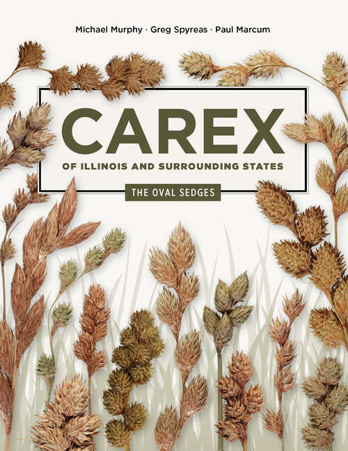 Book cover of Carex of Illinois and Surrounding States: The Oval Sedges (Distributed for the Illinois Natural History Survey)