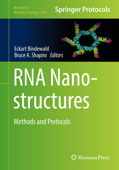 Book cover of RNA Nanostructures