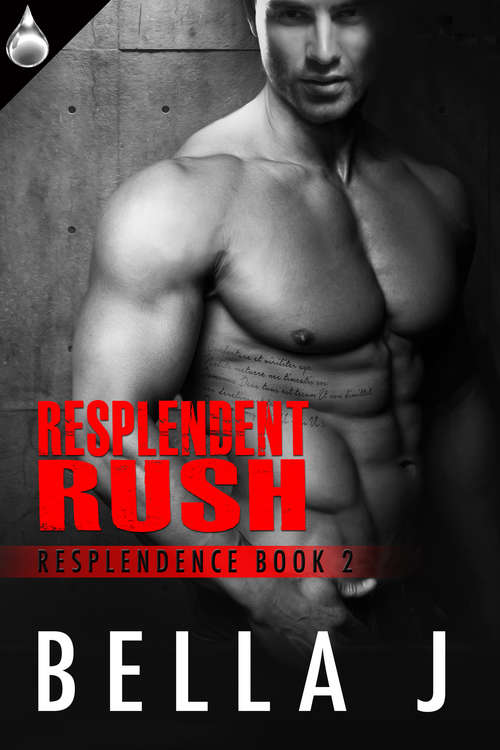 Book cover of Resplendent Ruin