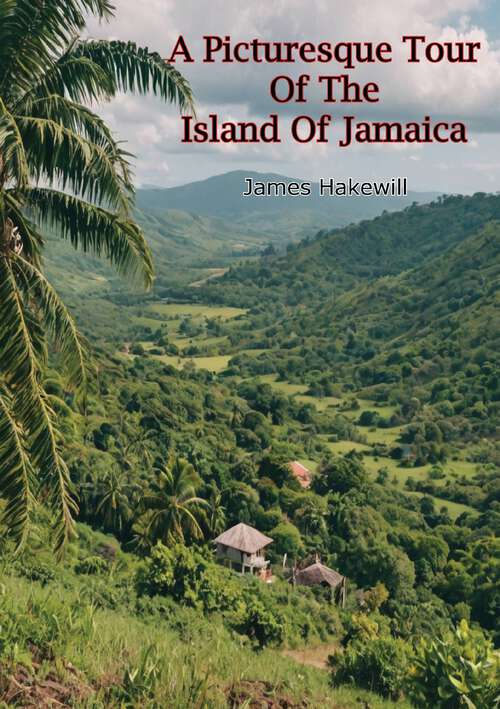 Book cover of A Picturesque Tour Of The Island Of Jamaica: From Drawings Made In The Years 1820 And 1821 (1825)