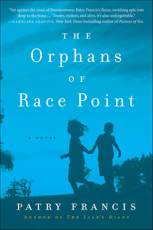 Book cover of The Orphans of Race Point: A Novel
