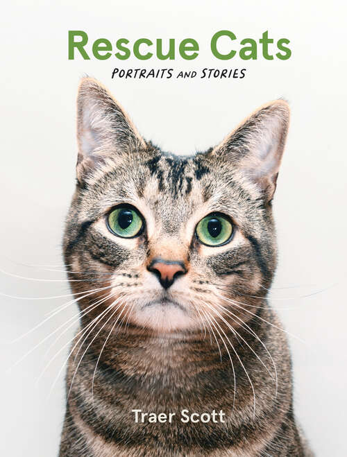 Book cover of Rescue Cats: Portraits and Stories