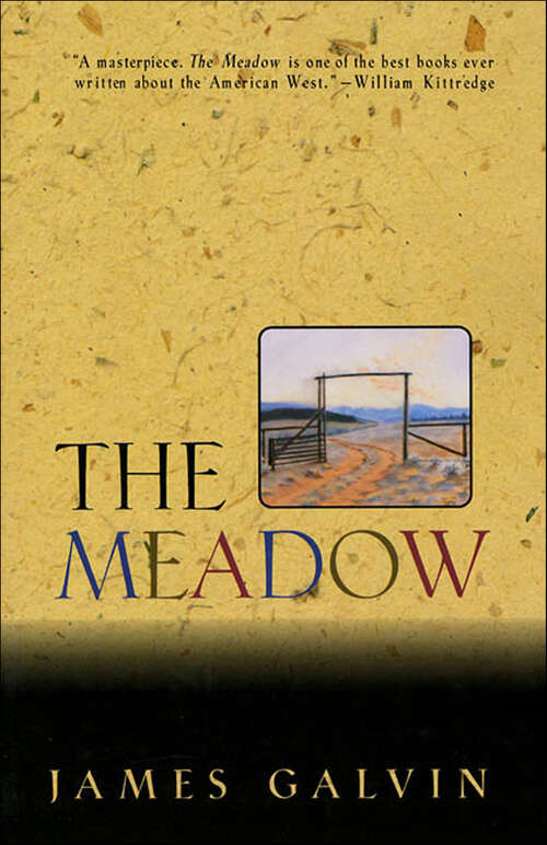 Book cover of The Meadow