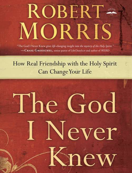 Book cover of The God I Never Knew: How Real Friendship with the Holy Spirit Can Change Your Life