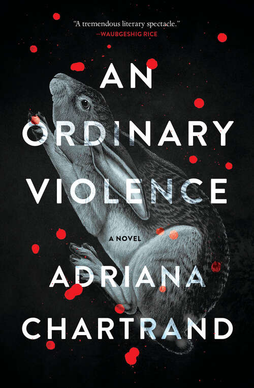 Book cover of An Ordinary Violence: A Novel