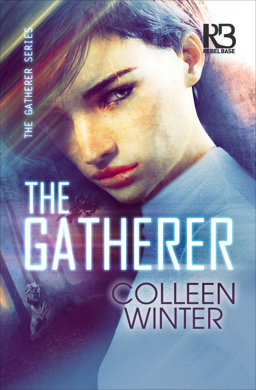 Book cover of The Gatherer (The Gatherer Series #1)