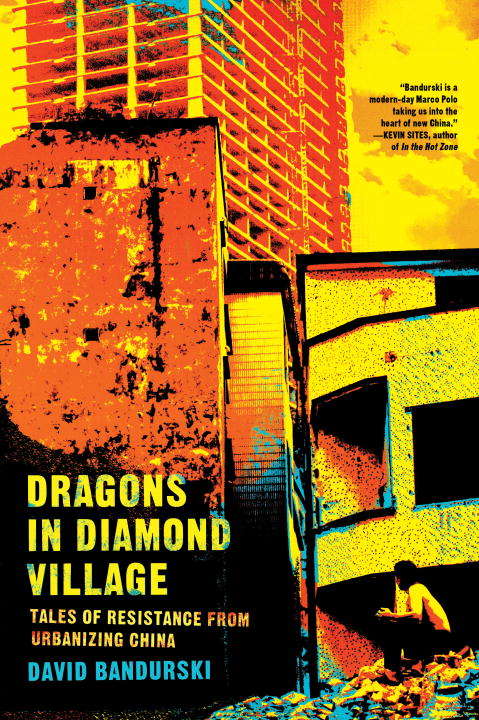 Book cover of Dragons in Diamond Village: Tales of Resistance from Urbanizing China