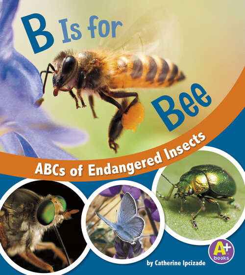 Book cover of B Is for Bee: Abcs Of Endangered Insects (E For Endangered Ser.)