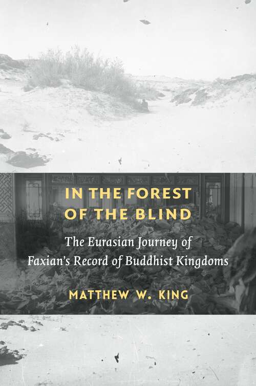 Book cover of In the Forest of the Blind: The Eurasian Journey of Faxian's Record of Buddhist Kingdoms