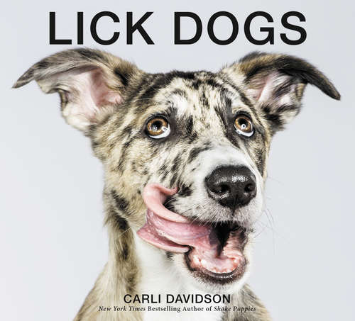 Book cover of Lick Dogs