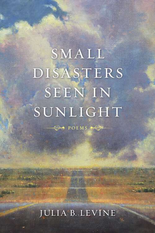 Book cover of Small Disasters Seen in Sunlight: Poems (Barataria Poetry)