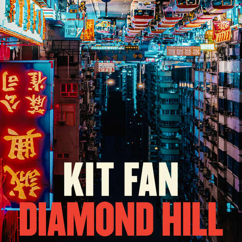 Book cover of Diamond Hill: Totally unputdownable and evocative literary fiction