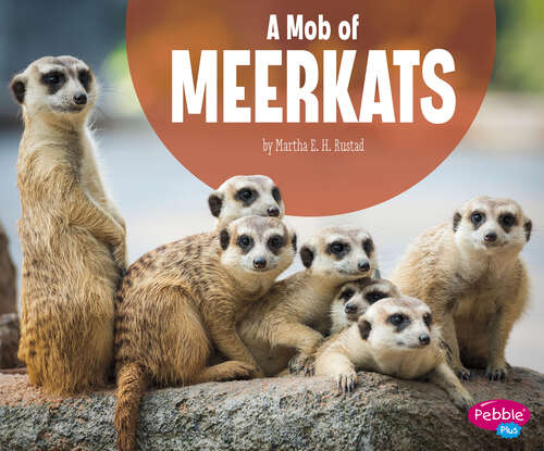 Book cover of A Mob of Meerkats (Animal Groups Ser.)