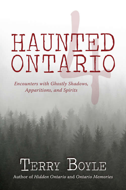 Book cover of Haunted Ontario 4: Encounters with Ghostly Shadows, Apparitions, and Spirits