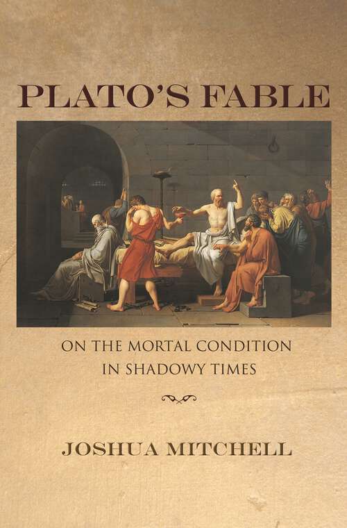 Book cover of Plato's Fable: On the Mortal Condition in Shadowy Times (New Forum Books #40)