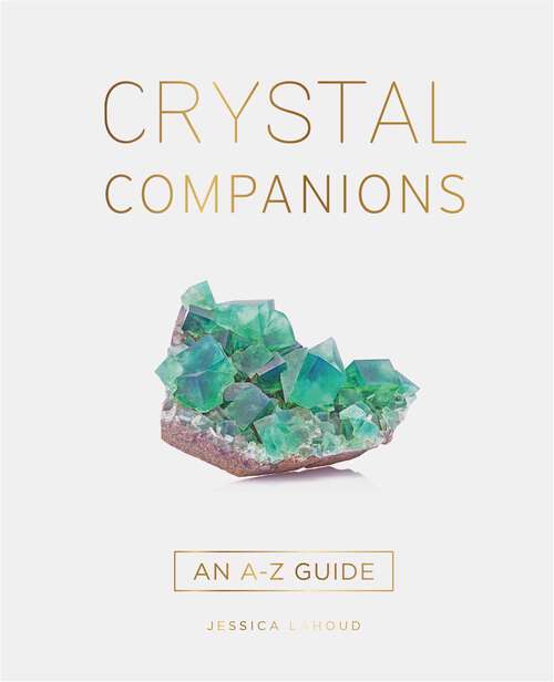 Book cover of Crystal Companions