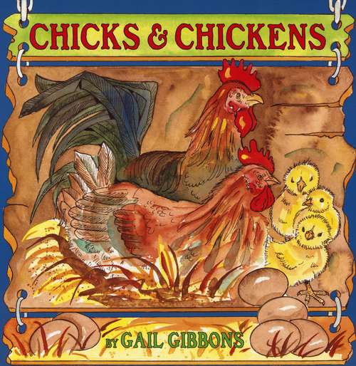 Book cover of Chicks and Chickens