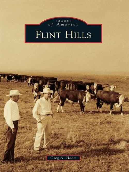 Book cover of Flint Hills