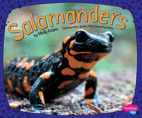 Book cover of Salamanders (Amphibians Ser.)