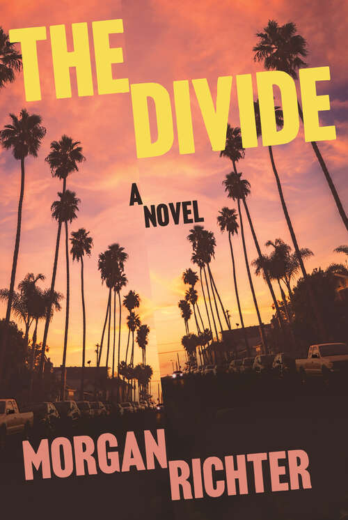 Book cover of The Divide: A novel