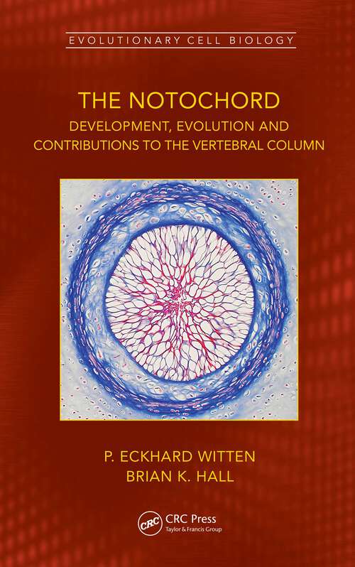 Book cover of The Notochord: Development, Evolution and contributions to the vertebral column (Evolutionary Cell Biology)