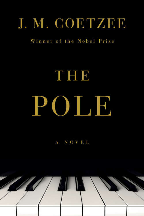 Book cover of The Pole: A Novel