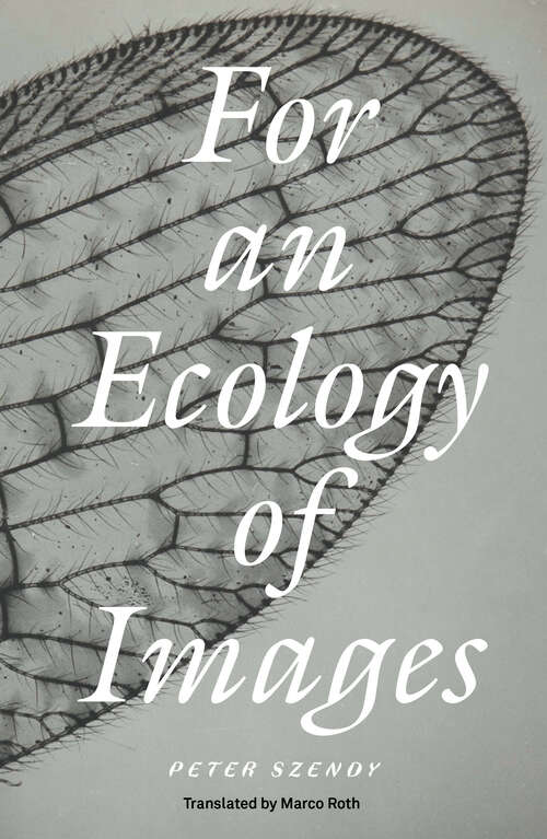 Book cover of For an Ecology of Images