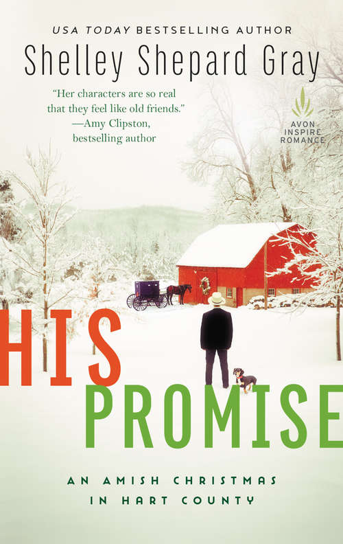Book cover of His Promise: An Amish Christmas in Hart County