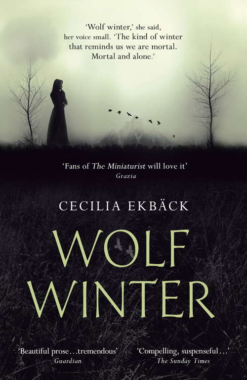 Book cover of Wolf Winter: Winner of the 2016 HWA Goldsboro Debut Crown Award