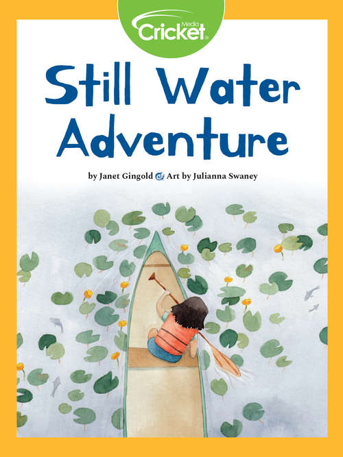 Book cover of Still Water Adventure