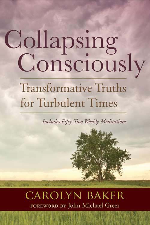 Book cover of Collapsing Consciously: Transformative Truths for Turbulent Times (Sacred Activism #3)