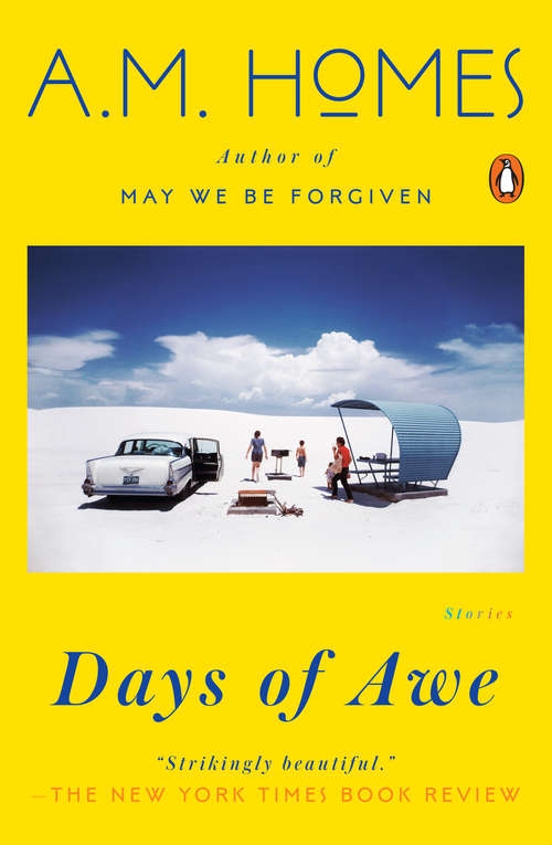 Book cover of Days of Awe: Stories