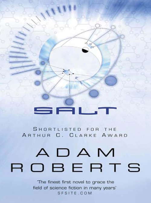 Book cover of Salt