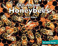 Book cover of All About Honeybees (Fountas & Pinnell LLI Green: Level I, Lesson 99)