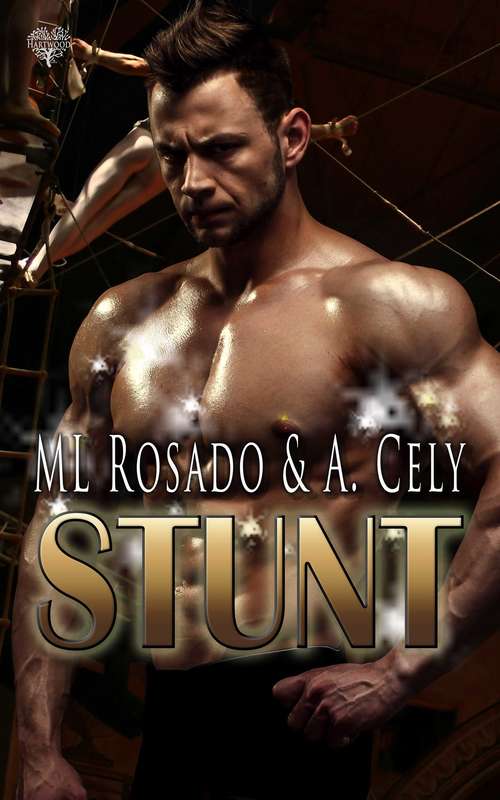 Book cover of Stunt (Stunt #1)