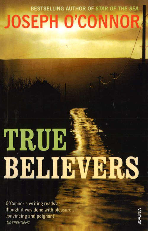 Book cover of True Believers